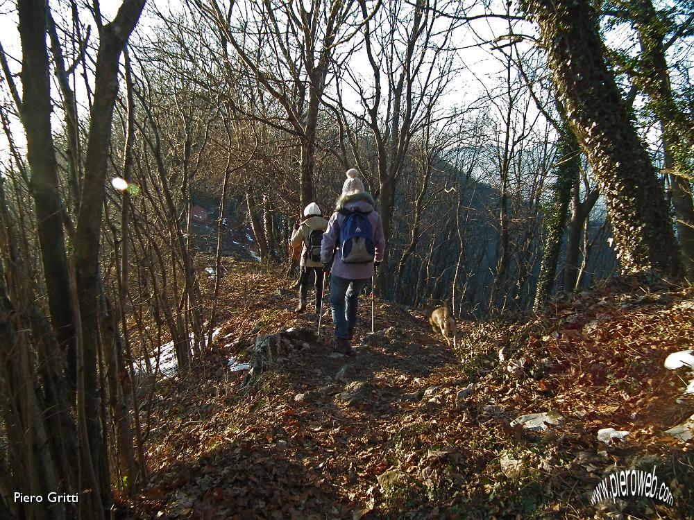 76 Al sole nel bosco....JPG